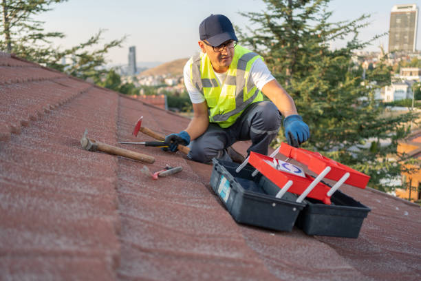 Reliable West Wyoming, PA Siding Solutions
